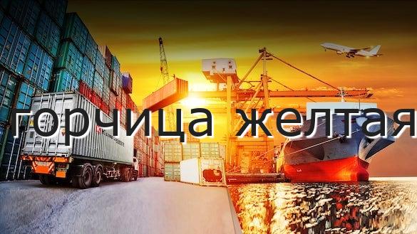 горчица желтая