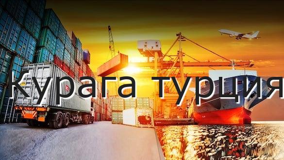 Курага турция