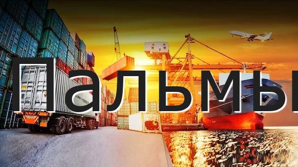 Пальмы